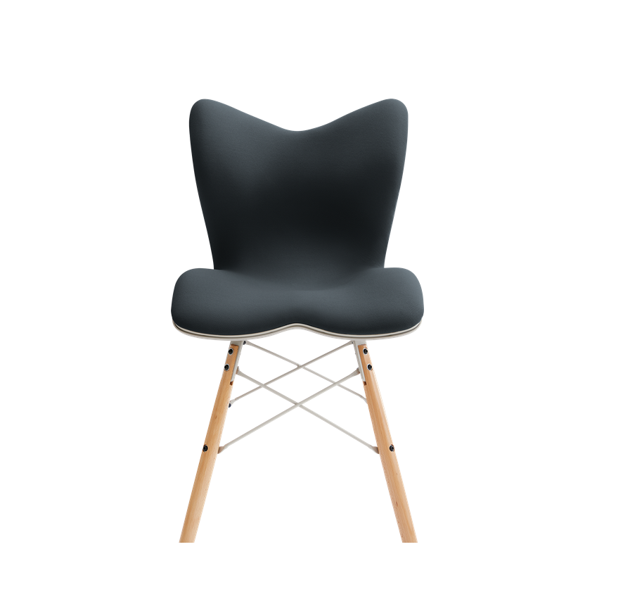 Style健康Chair PM YSAZ03A (黑色)