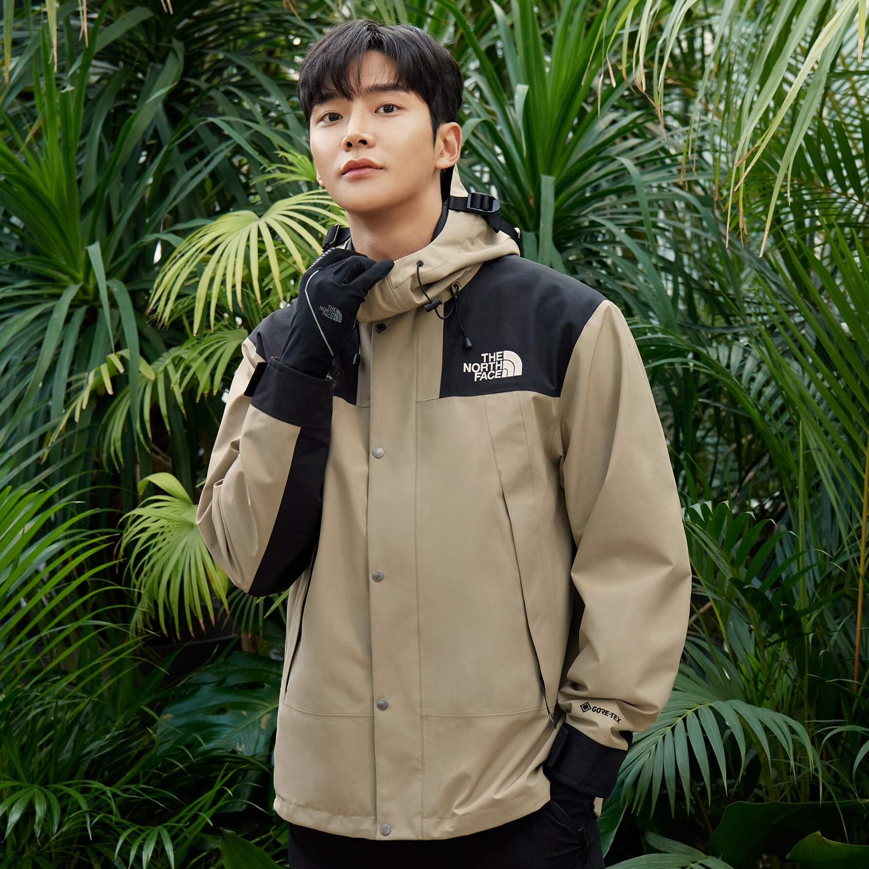 ノースフェイス NOVELTY ECO GTX MOUNTAIN JACKET - 通販 - azenco.co.uk