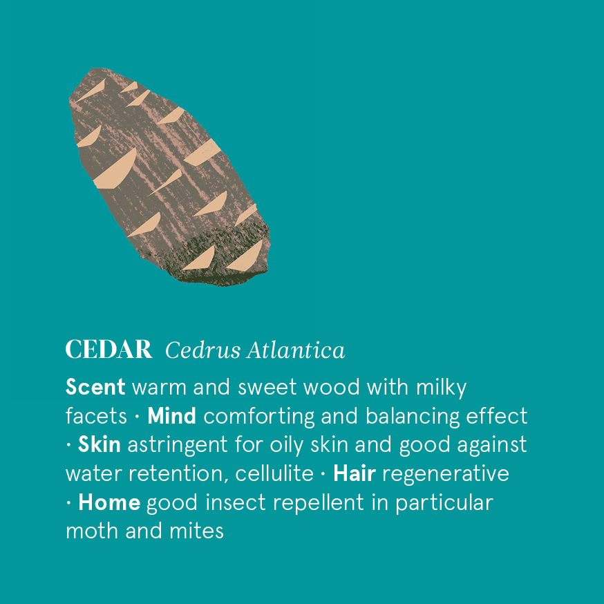 雪松精油 花草引力 自然之事