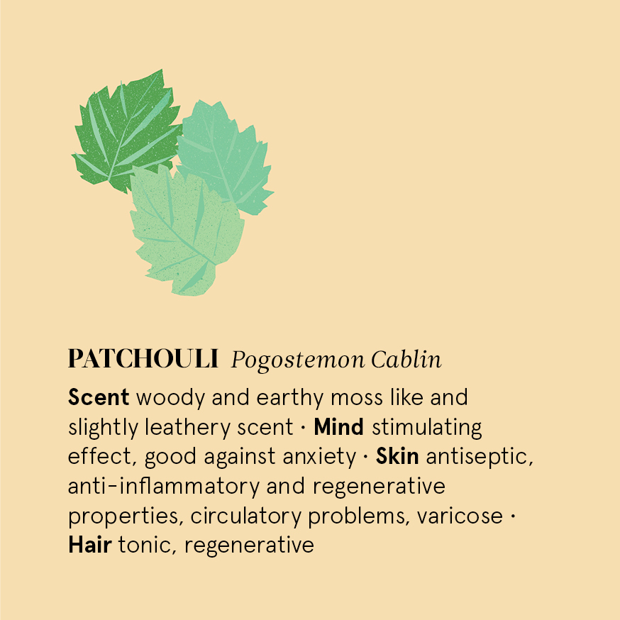 花草引力 自然之事 廣藿香精油功效