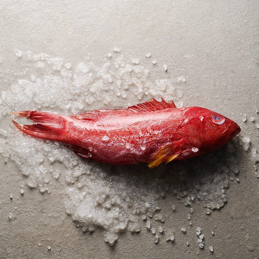 鮮魚-紅條石斑 300-350g