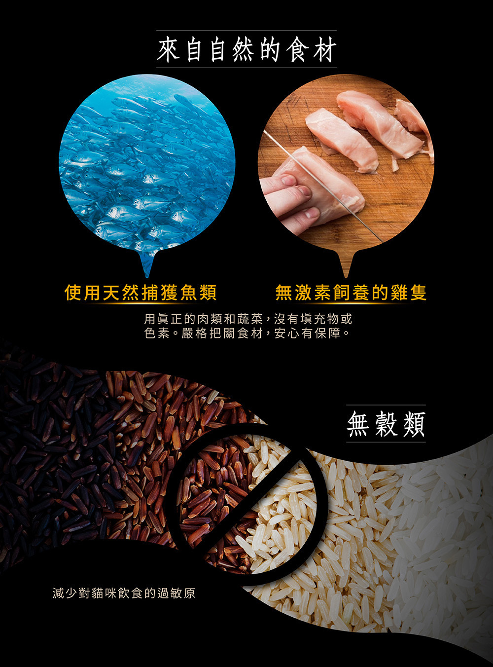 Cherie 法麗 - 經典慕絲貓主食罐 80g