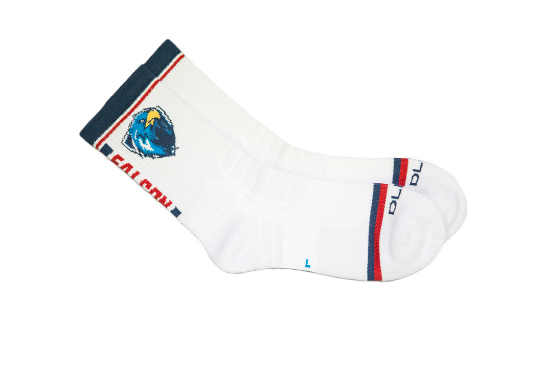 【DLIVE X 臺產隼鷹】應援機能長襪