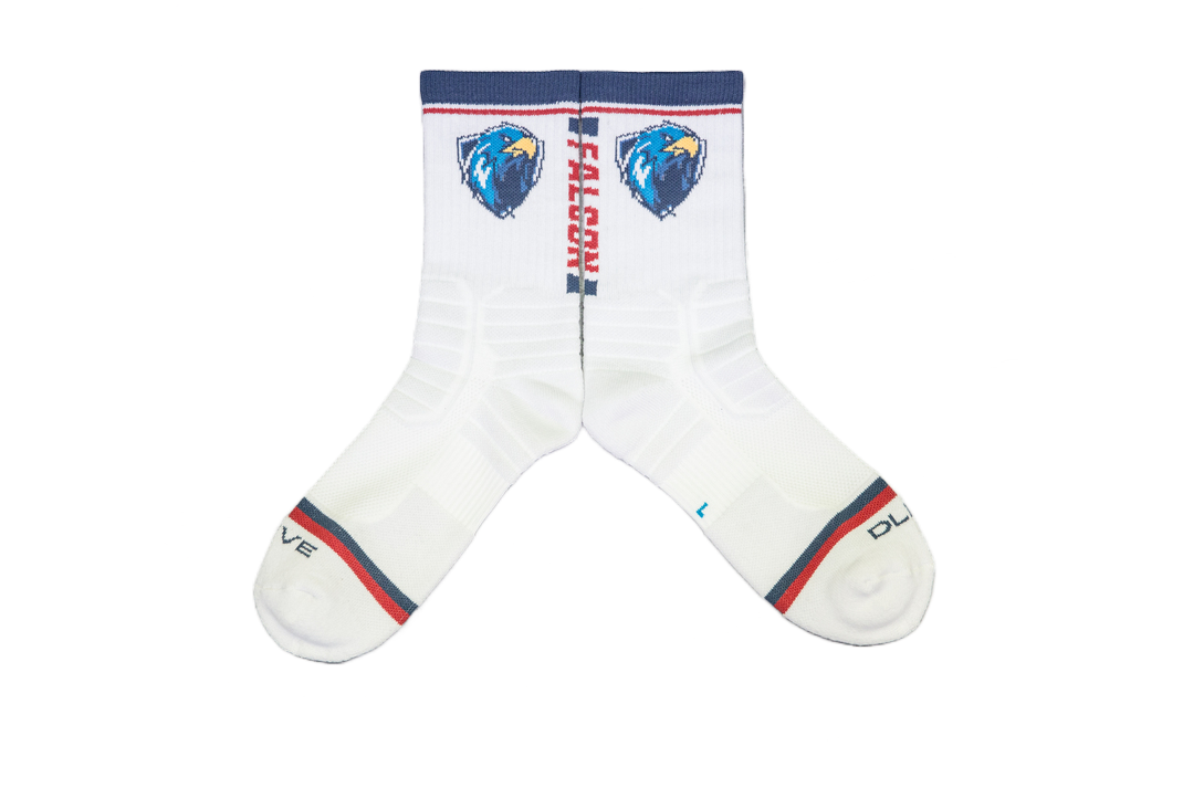 【DLIVE X 臺產隼鷹】應援機能長襪