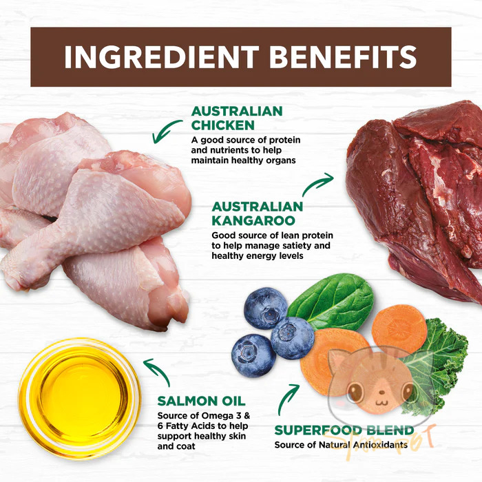 IVORY COAT Chicken & Kangaroo Grain Free for Indoor Adult Cat 4kg