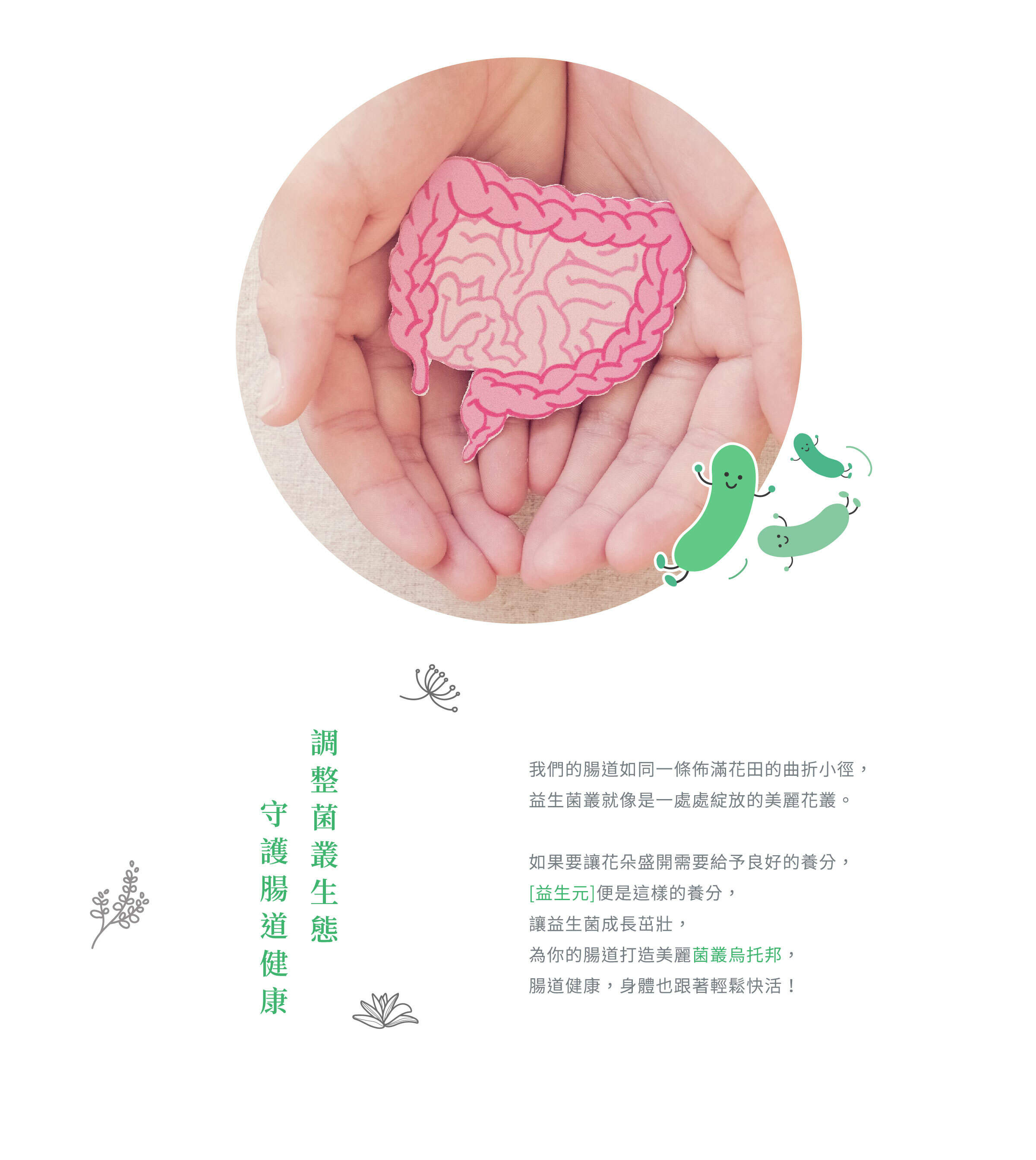 腸道如同一條佈滿花田的曲折小徑，益生菌叢就像是一處處綻放的美麗花叢。如果要讓花朵盛開需要給予良好的養分， [益生元]便是這樣的養分，讓益生菌成長茁壯，為你的腸道打造美麗菌叢烏托邦，腸道健康，改善排便不順、便秘、腹瀉、腸躁，身體也跟著輕鬆快活！