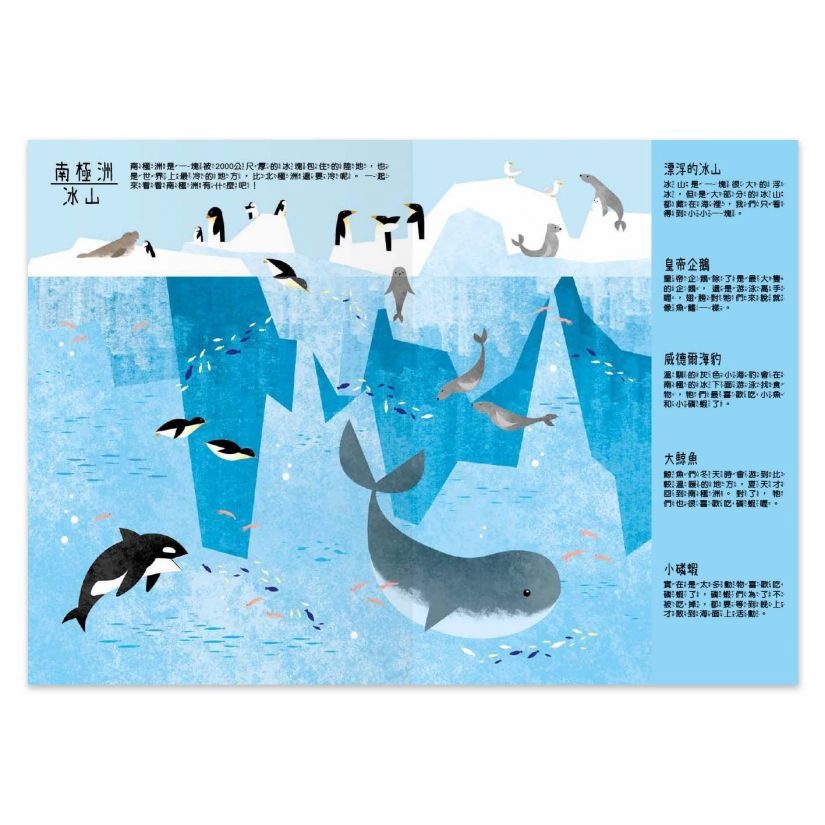 【樂森藥局】地上下的立體世界 奇妙的大自然 禾流文創 繪本 童書 探險知識小百科