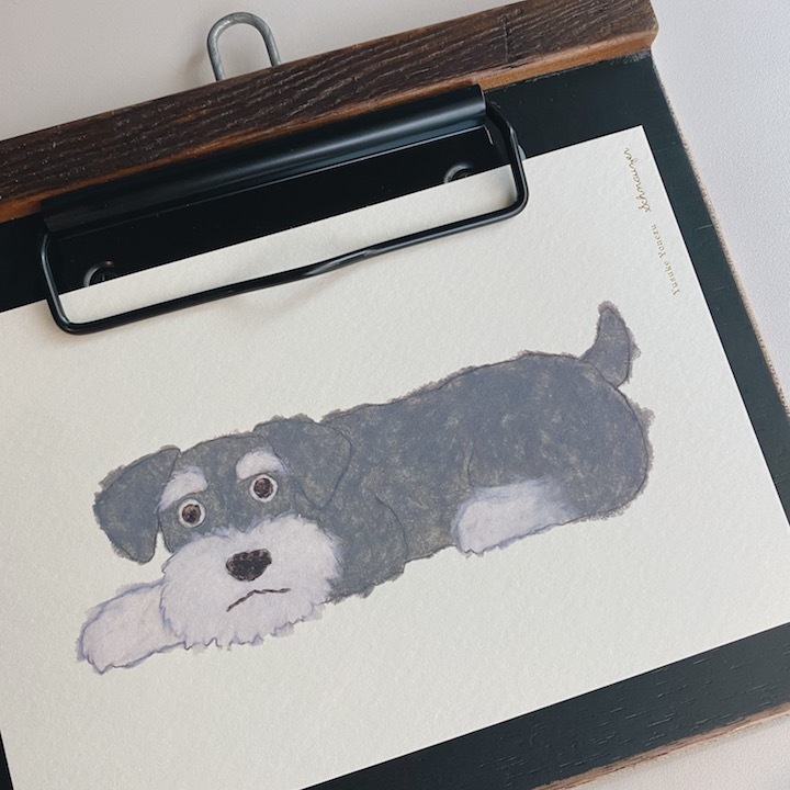 米津祐介 雪納瑞 明信片 ｜日本Greeting Life