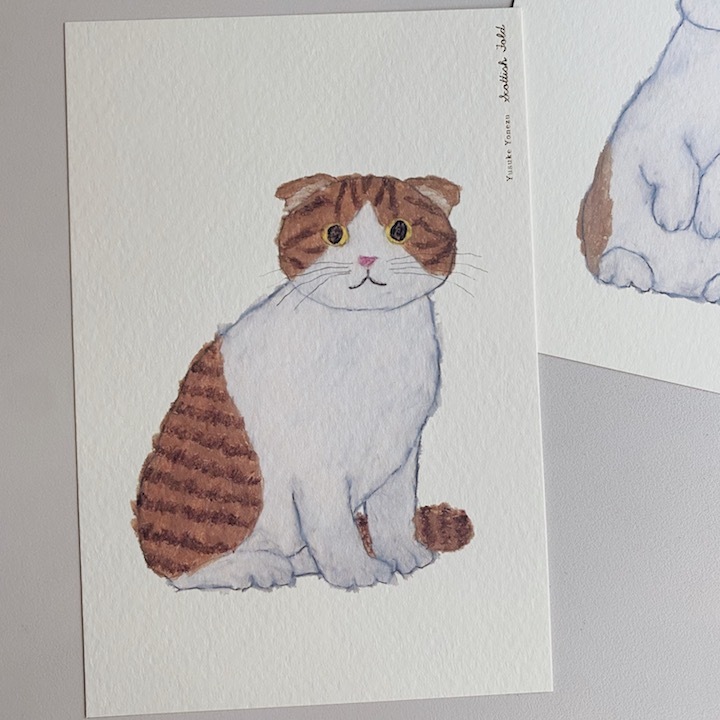 米津祐介 蘇格蘭摺耳貓 明信片 ｜日本Greeting Life