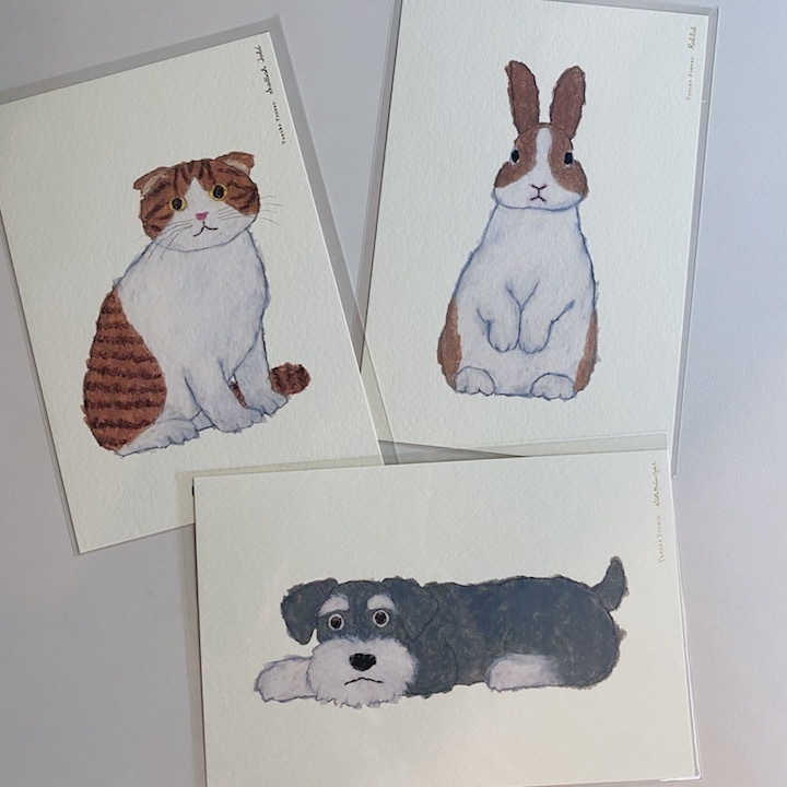 米津祐介 蘇格蘭摺耳貓 明信片 ｜日本Greeting Life