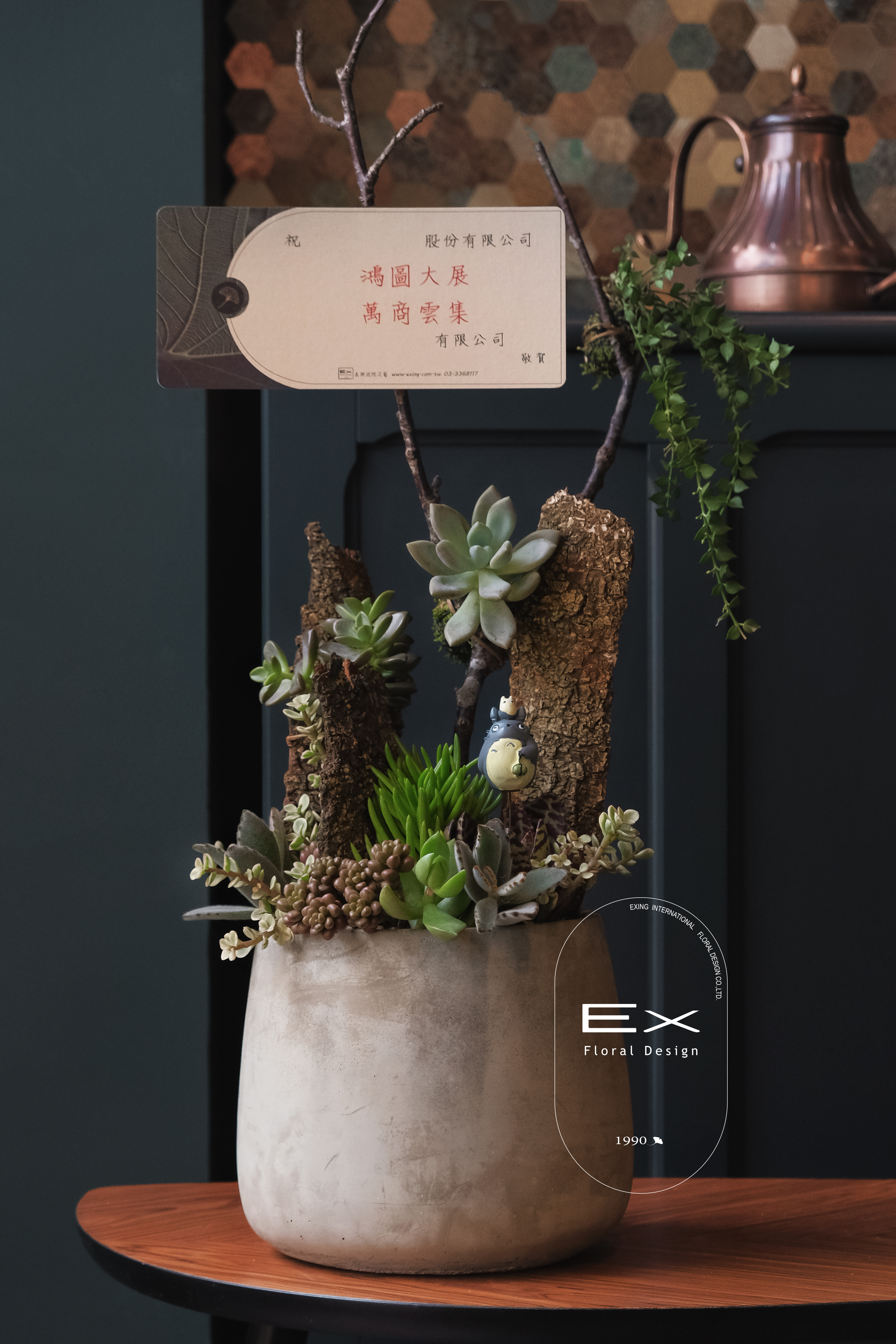 樹藤嶼秋〈多肉植物〉