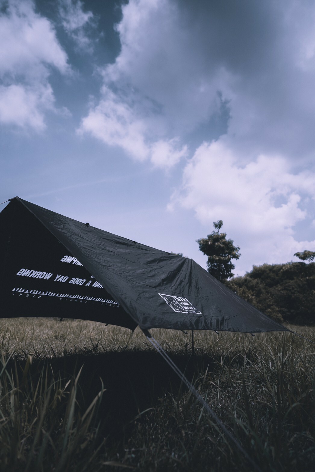 台灣 ANiMA WANDERER BLN-17 Logo Daluan Tarp - BLK 黑化輕量天幕 2.0