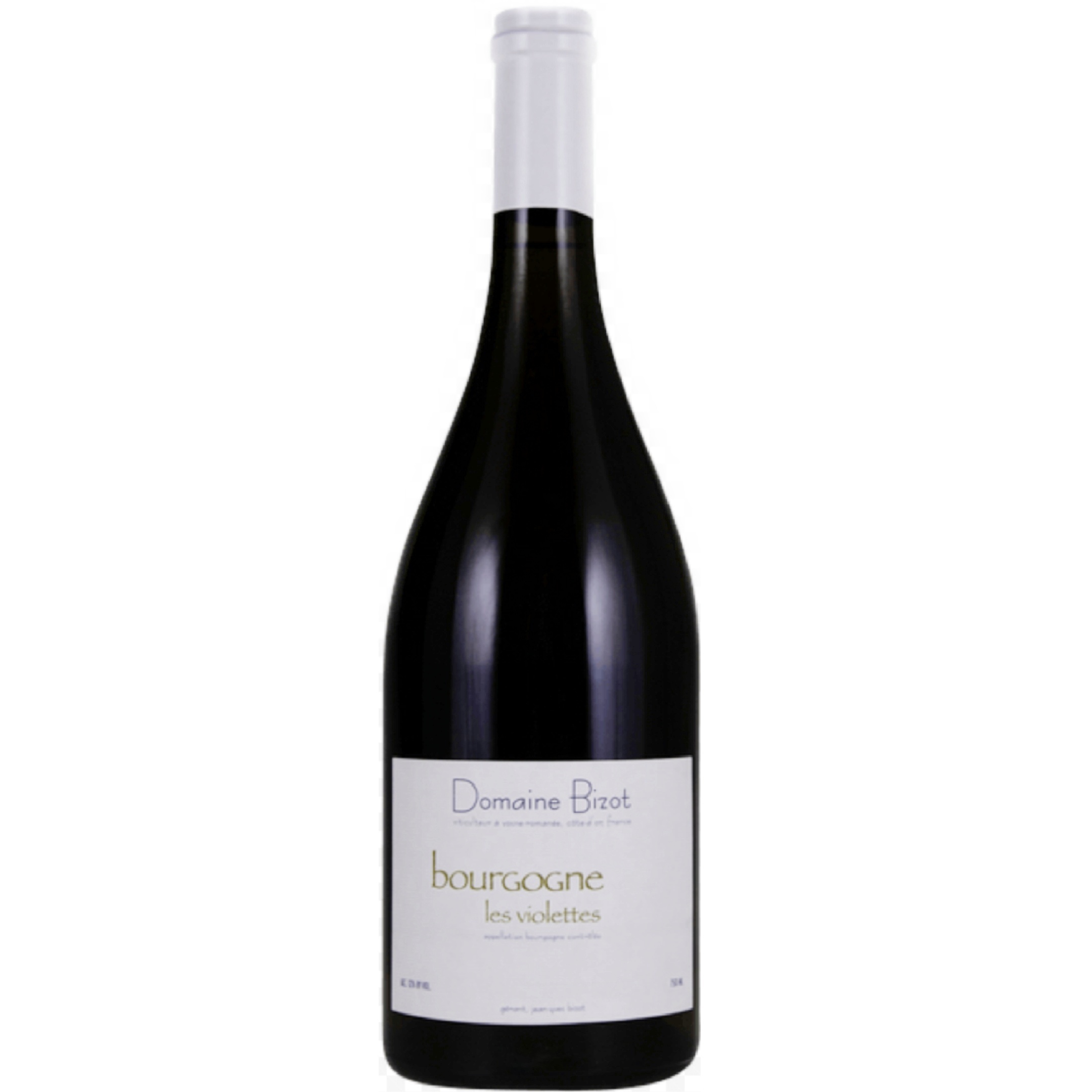 2014 Domaine Jean Yves Bizot Bourgogne Les Violettes