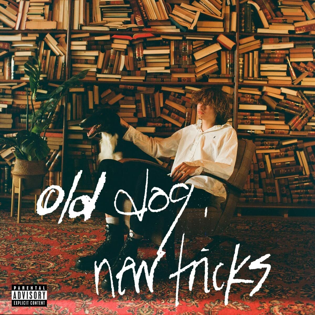 glaive《old dog, new tricks》（LP）