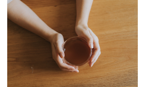 杜仲茶哪裡買？想了解孕婦可以喝之前，先了解什麼是杜仲！