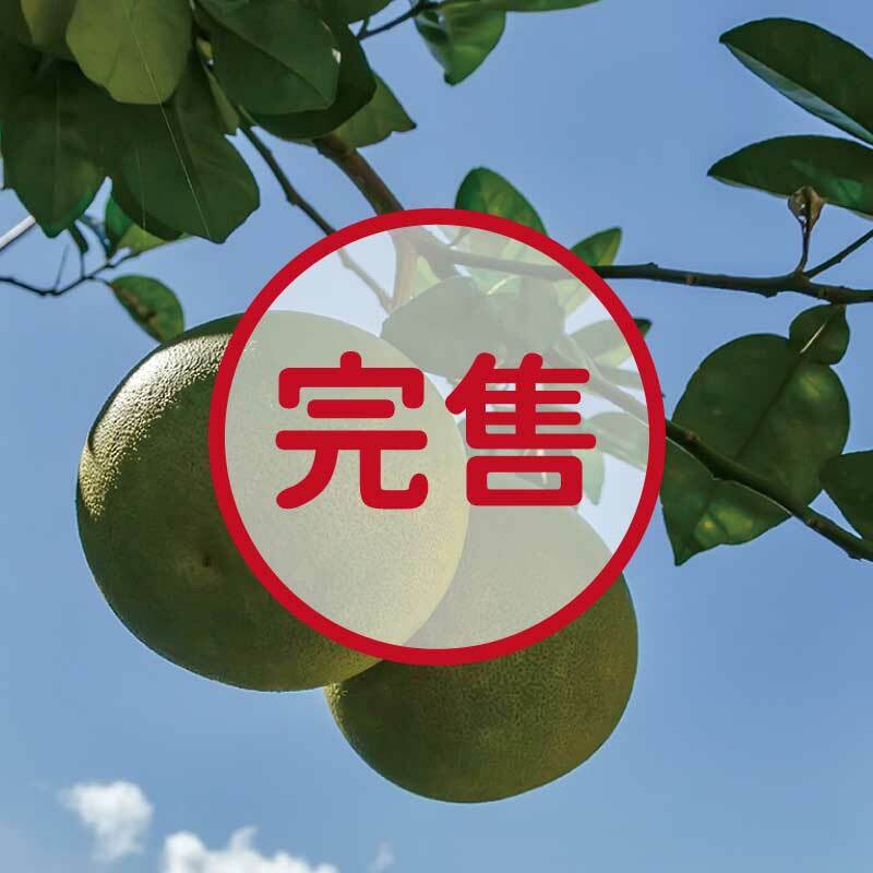 【老欉文旦】產季9~10月