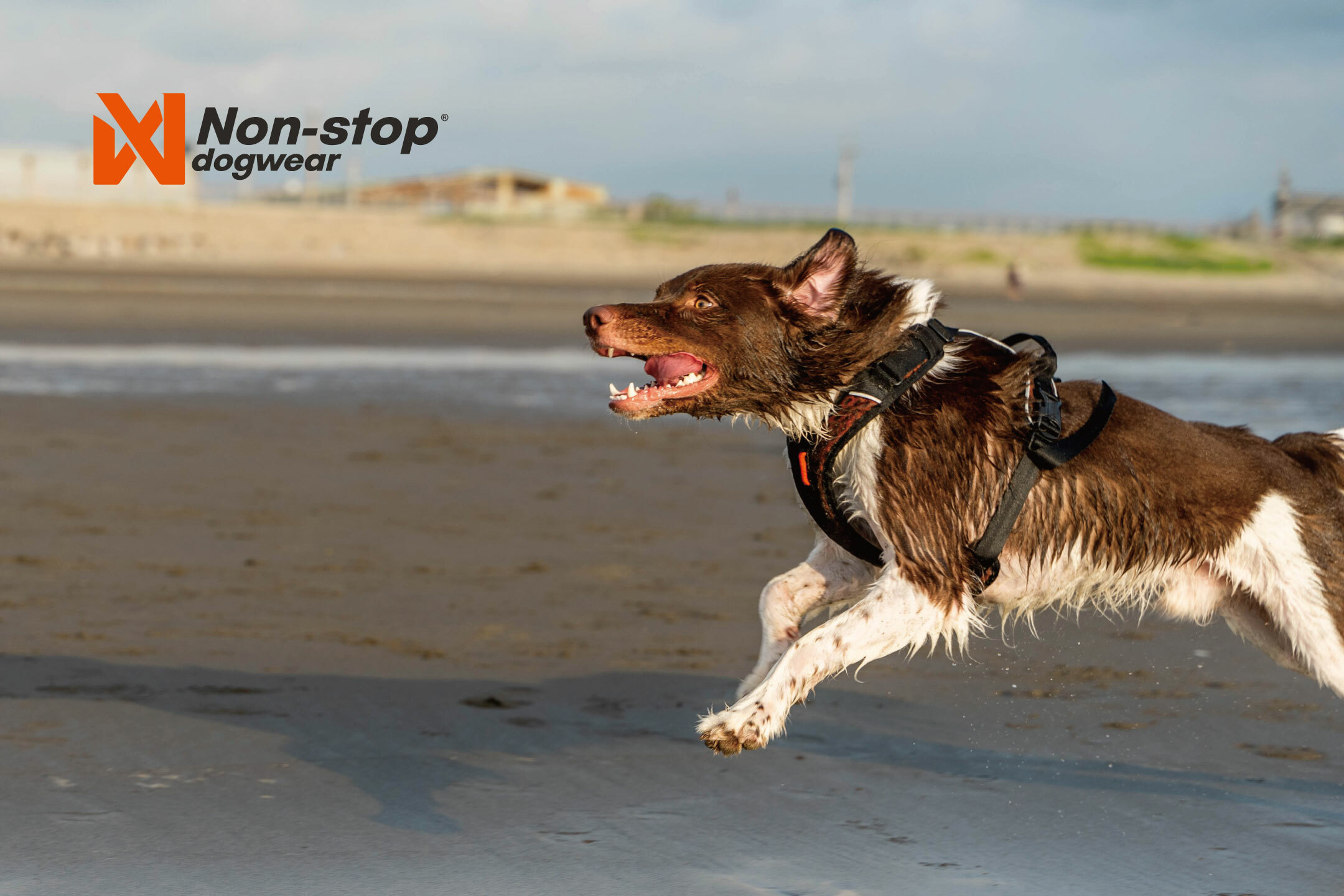 Non-stop dogwear