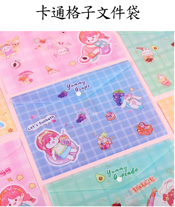 A4小清新文件袋 D198