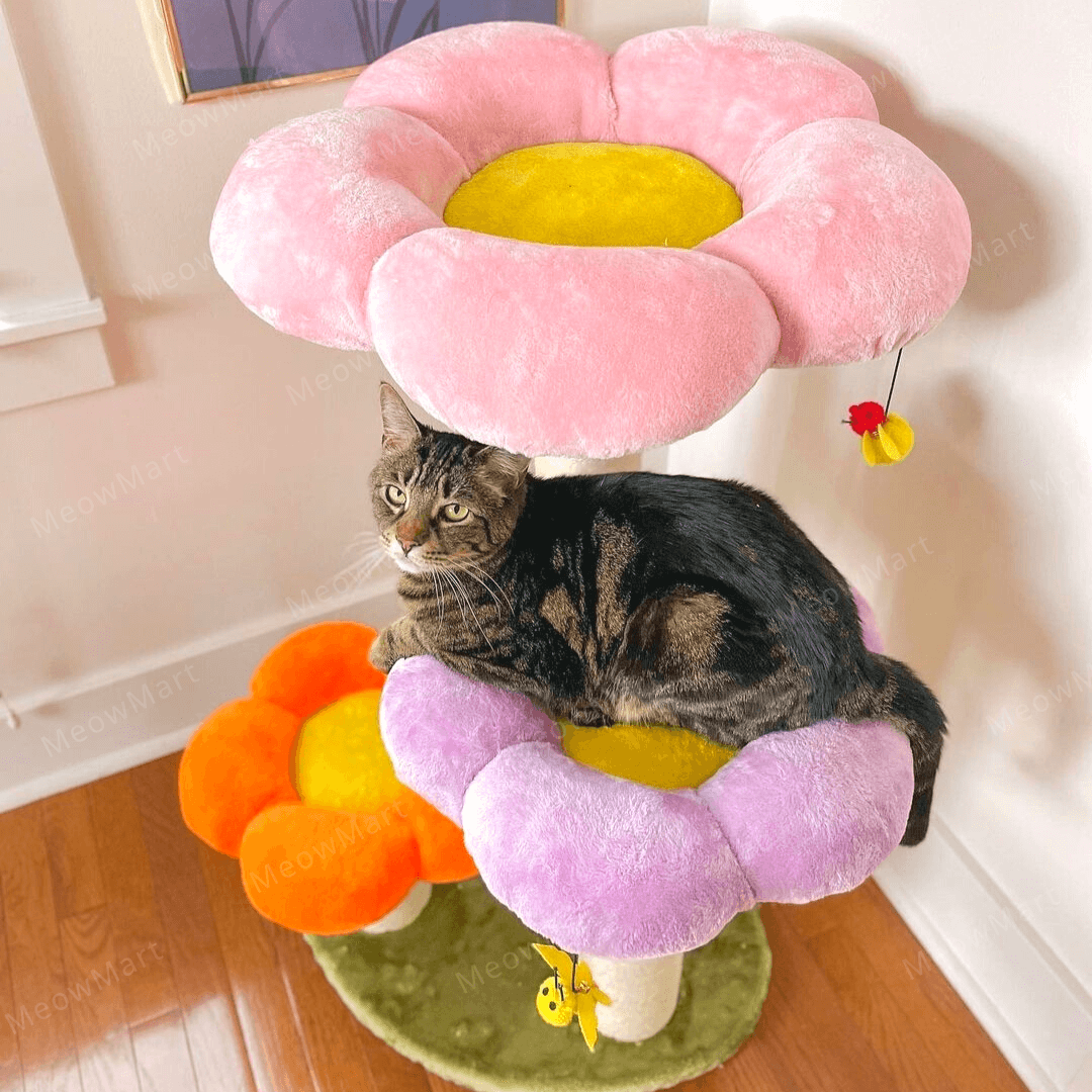 【新品7折】毛茸茸花朵貓爬架