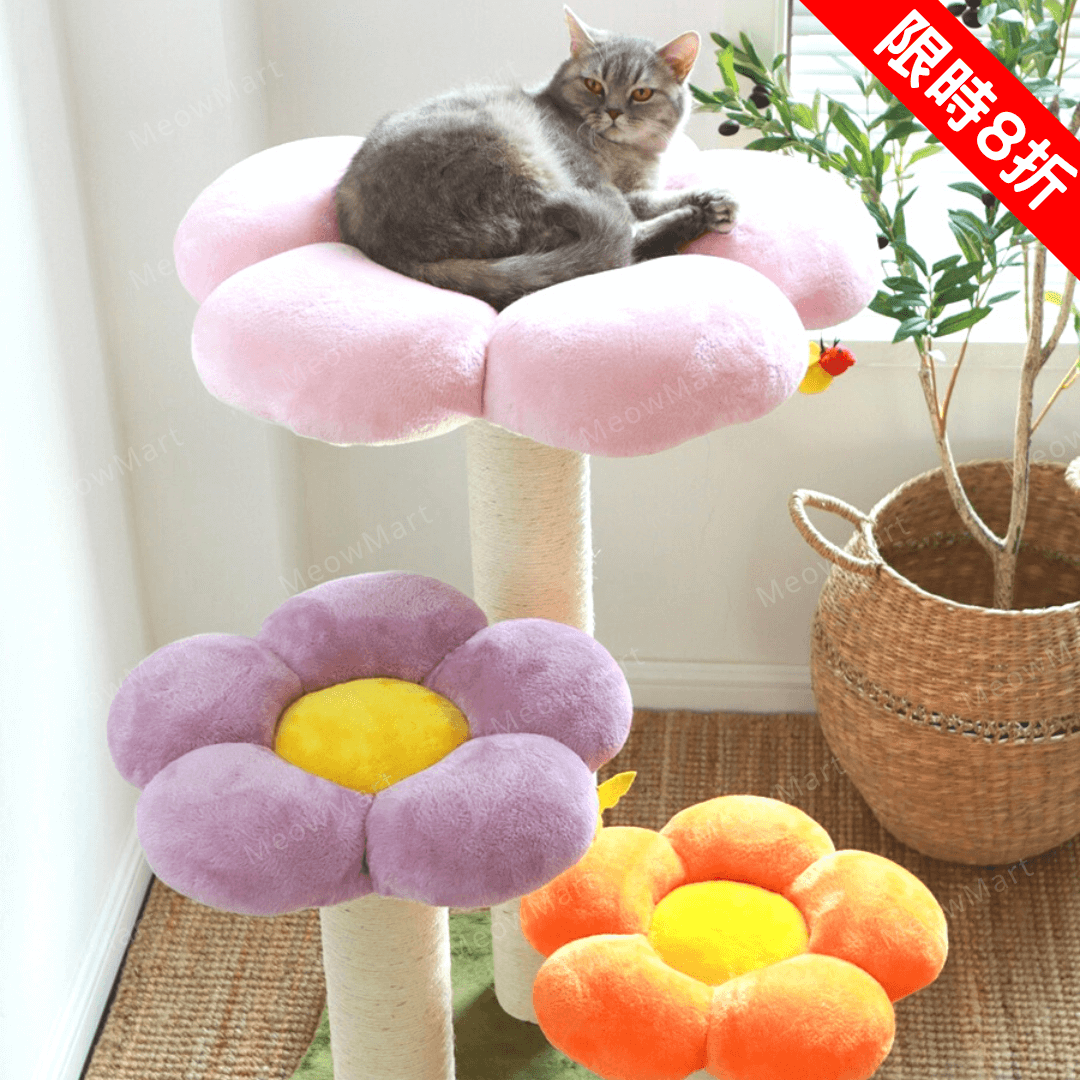 【新品7折】毛茸茸花朵貓爬架