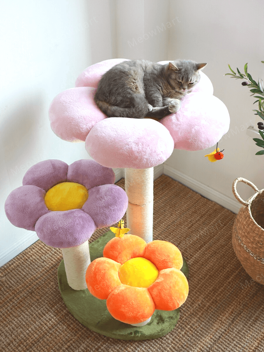 花朵貓爬架