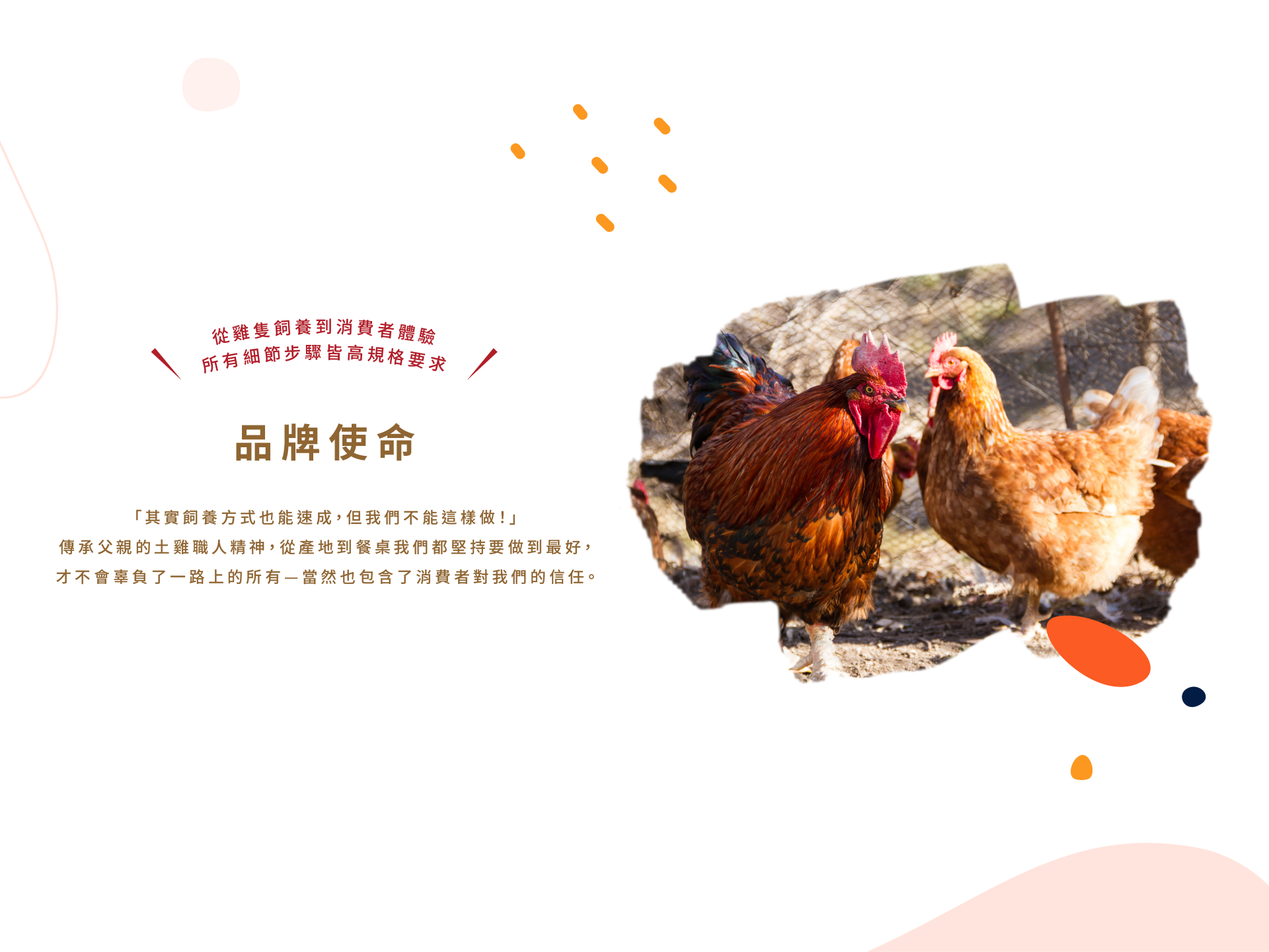 從雞隻飼養到消費者體驗，所有細節步驟皆高規格要求