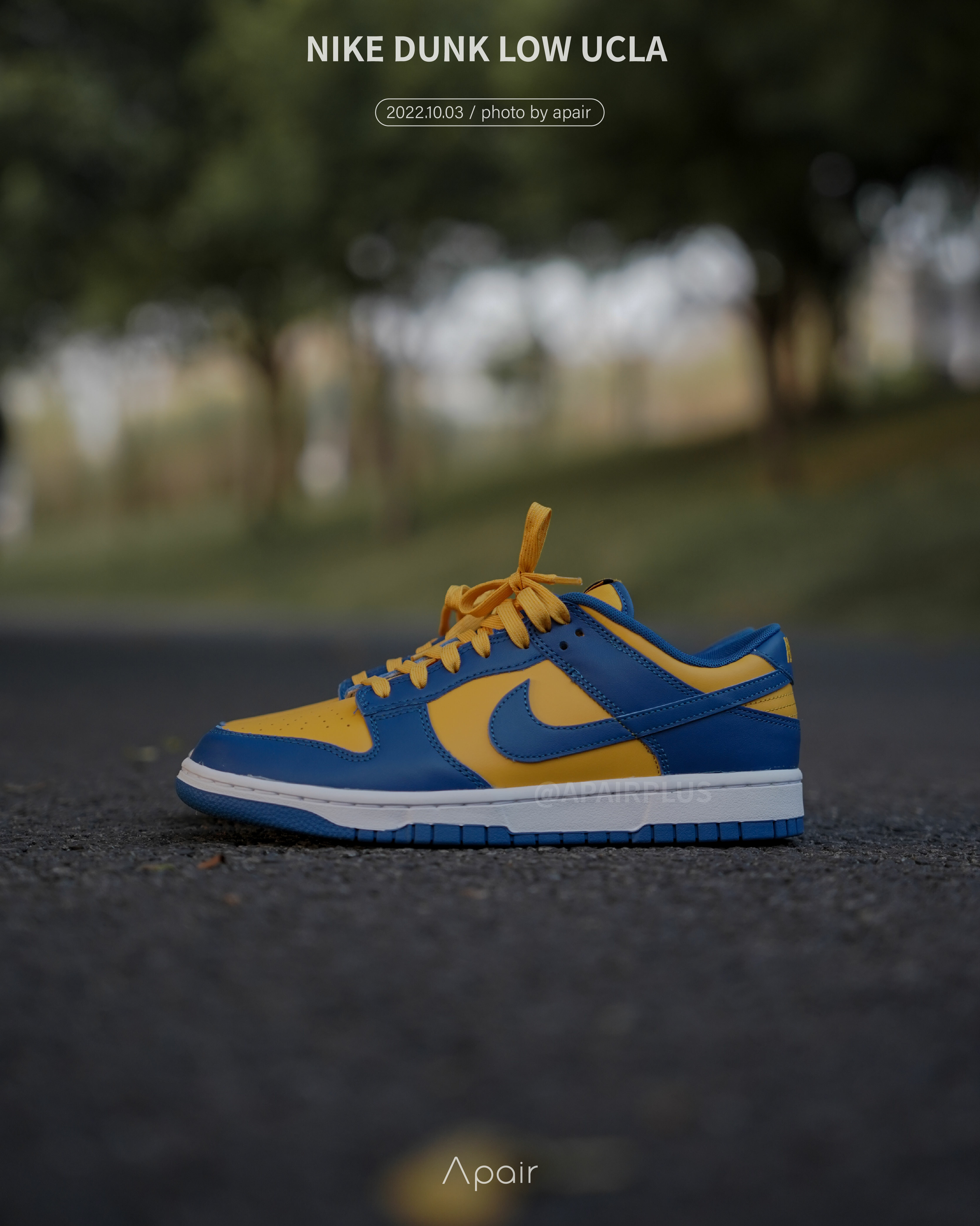 【APAIR】預購 Nike Dunk Low Retro UCLA 黃藍 勇士隊配色 DD1391-402