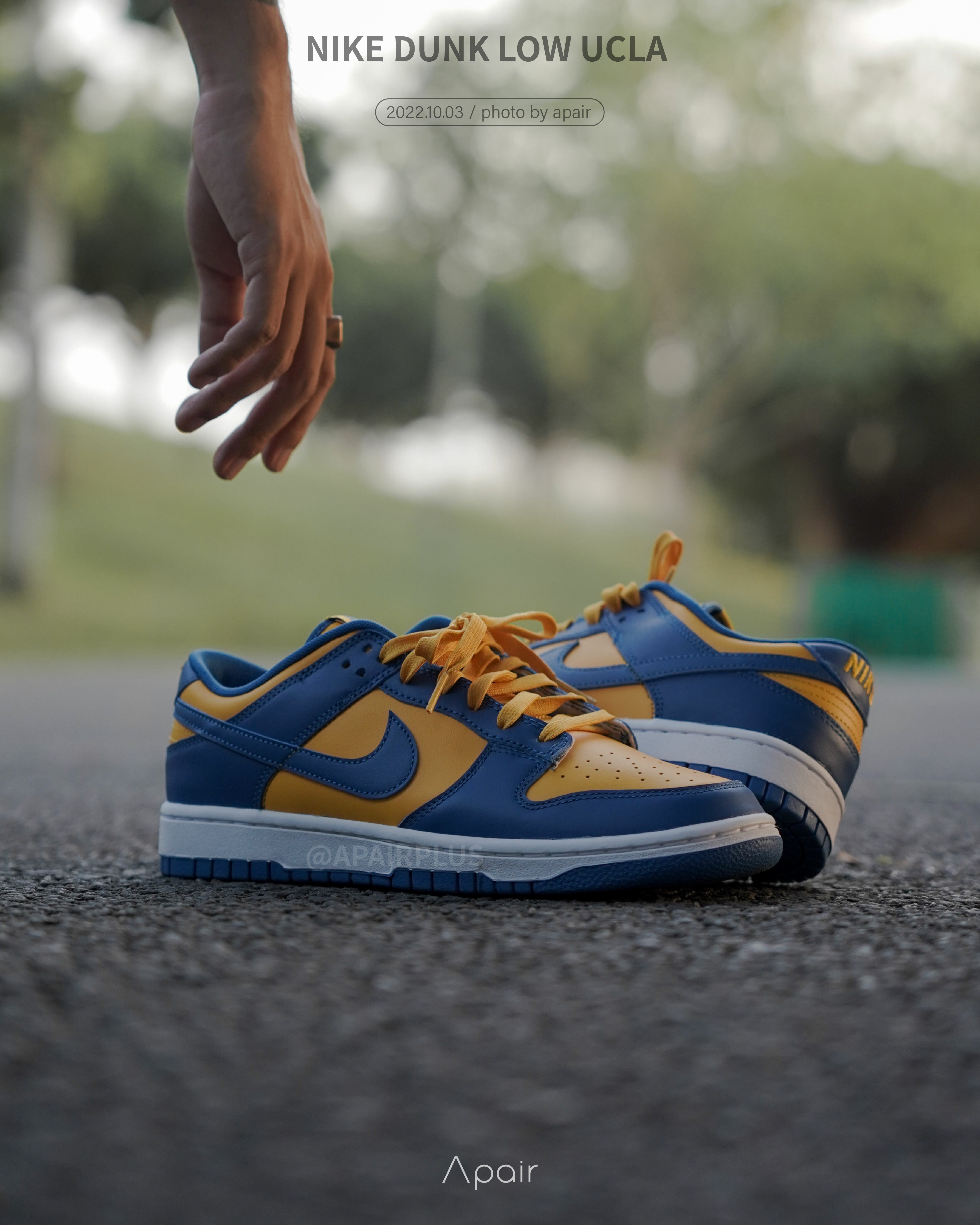 APAIR】預購Nike Dunk Low UCLA 黃藍DD1391-402