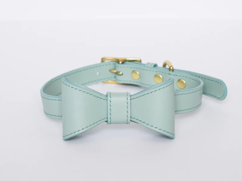 Pipolli - Mint Leash
