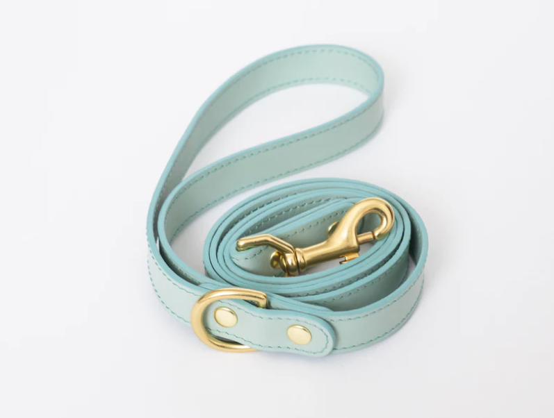 Pipolli - Mint Leash