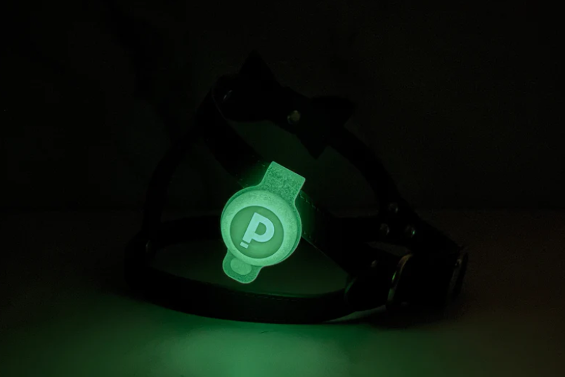 Pipolli - Glow in the dark Air Tag case - Style B