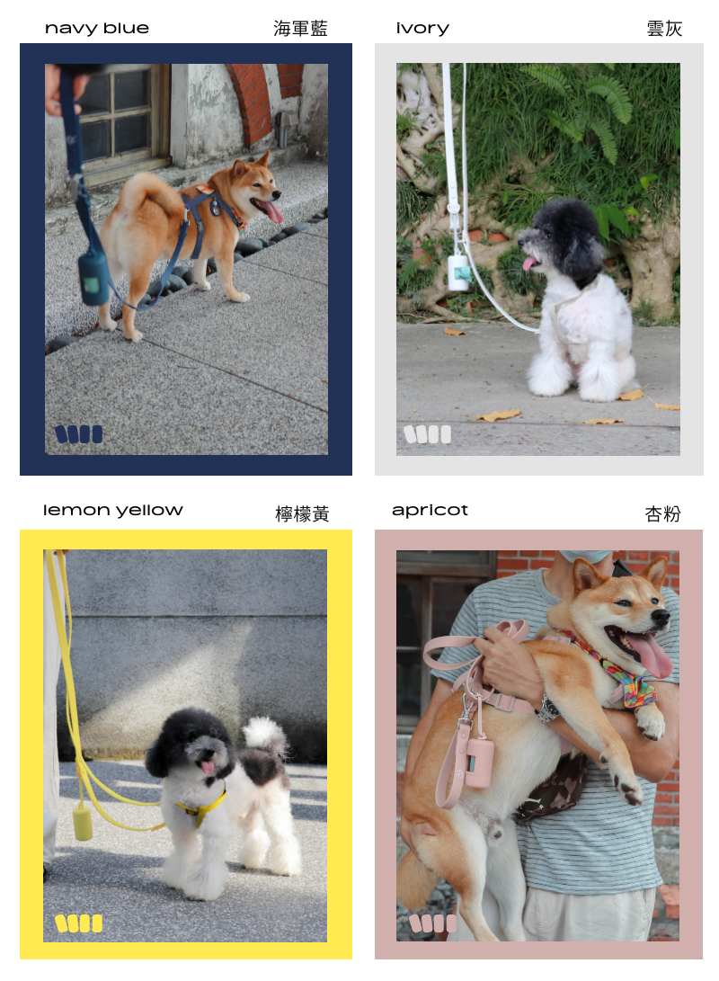 經典簡約配色:海軍藍 、雲灰、檸檬黃 、杏粉共四款顏色讓您選擇。