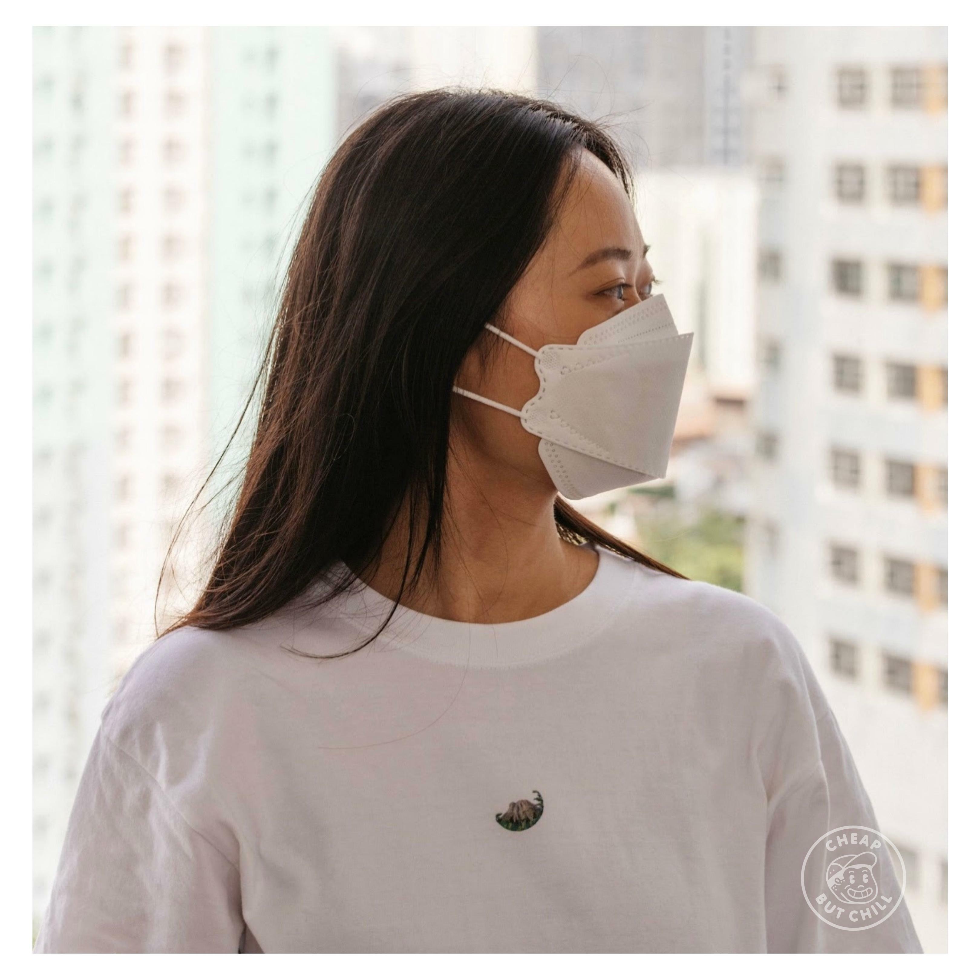 SALE ✦ CheapbutChill x lon.x.art 小小獅子山 TEE