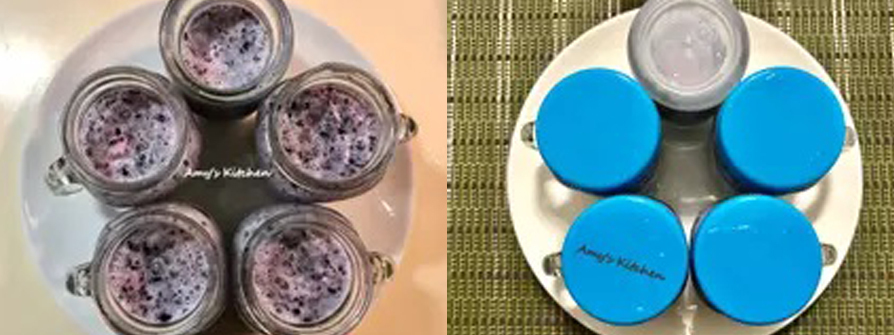 【藍莓鮮奶酪】 Blueberry Fresh Cheese