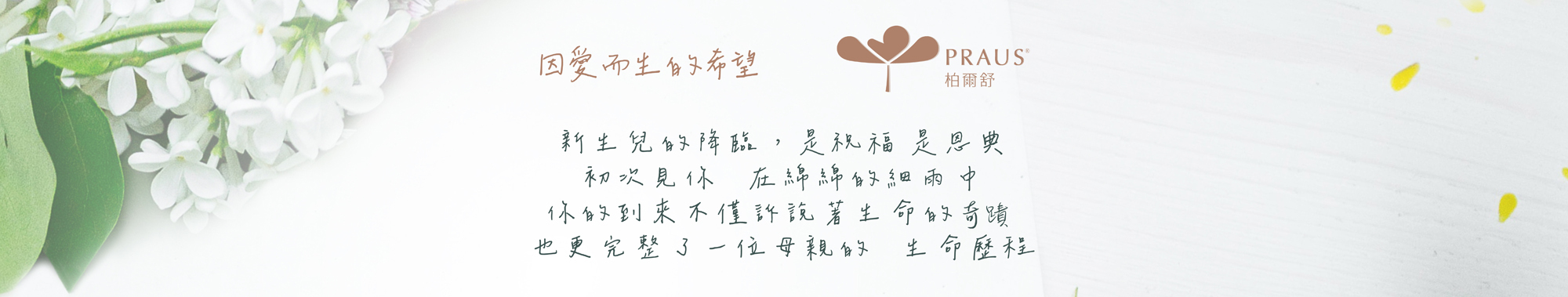 過敏, 異位性皮膚炎, 濕疹, 脂漏, 脂漏性皮膚炎, 乳液, 乳霜, 寶寶