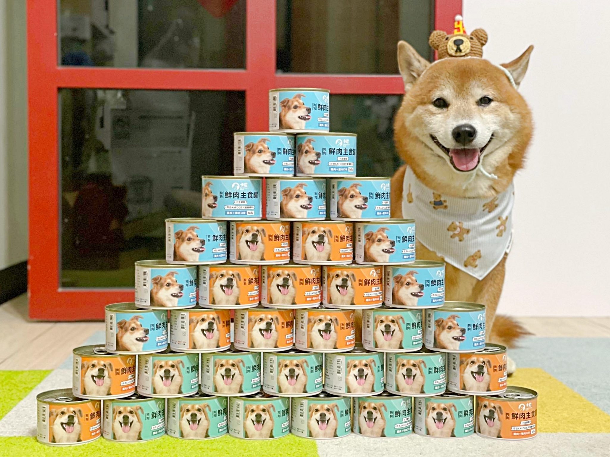 柴犬與卡尼罐頭塔