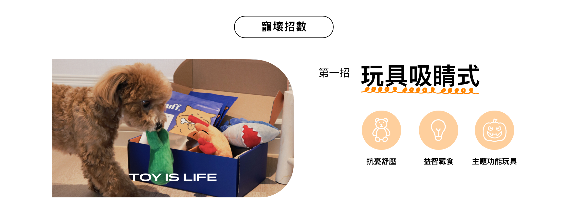 寵壞招數第一招：玩具吸睛式。抗憂舒壓，益智遊戲，主題玩具，讓狗狗不會感到焦慮憂鬱