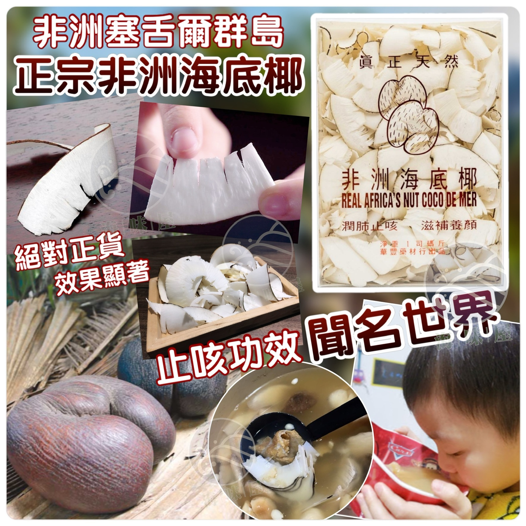 M20264 正宗非洲海底椰散片 (一両)