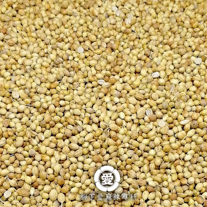 芫荽子100G【A812】