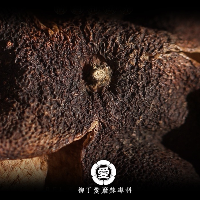 精選黑陳皮100g【A828】美食 陳皮 調味料 香料 乾貨 泡茶 零食 湯底 廚房 調味品 香辛料 南北貨  柳丁愛