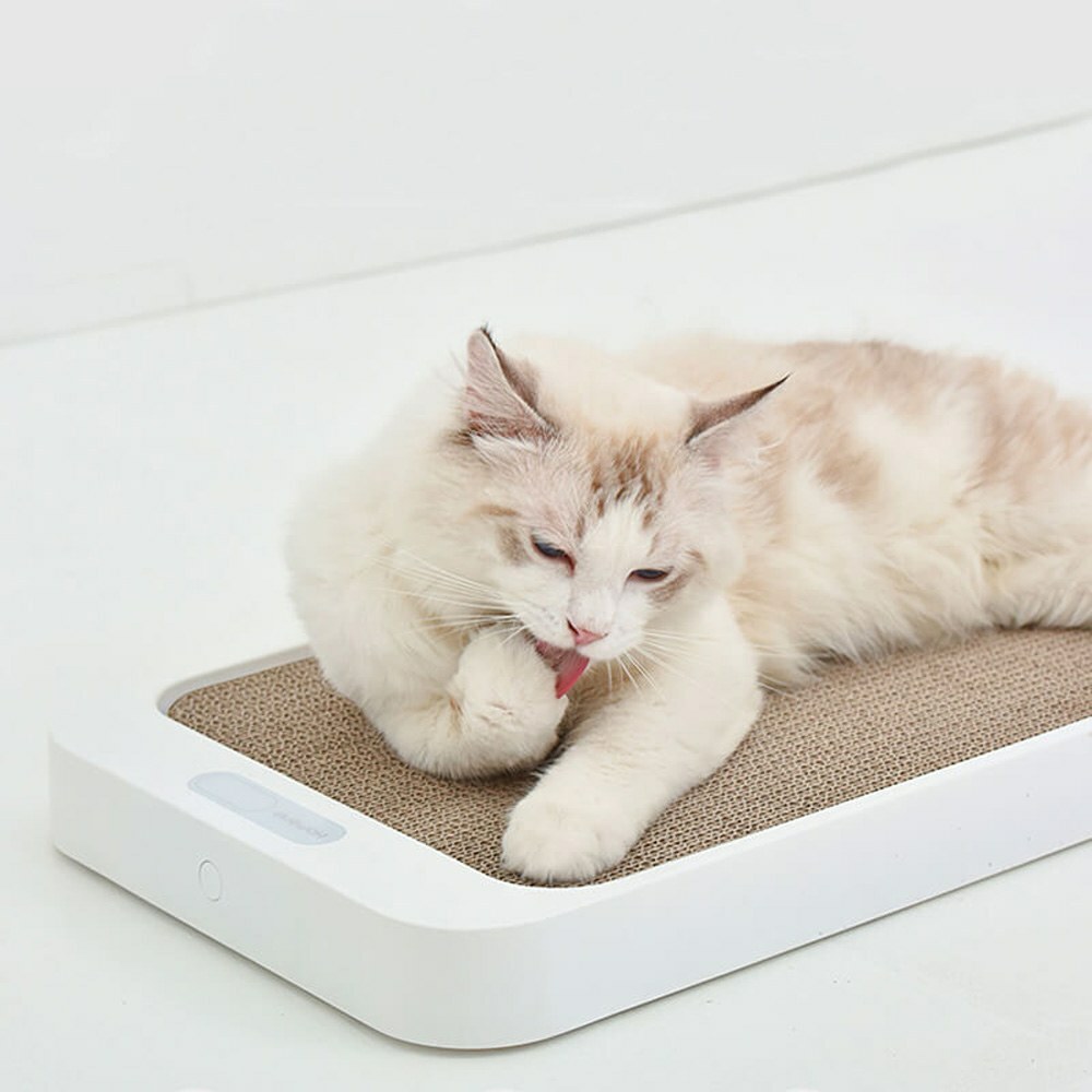 【Homerunpet 霍曼】 魔板寵物秤