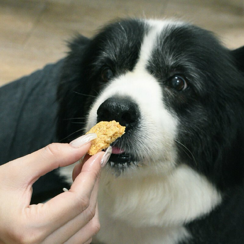 不麻煩鮮作寵食COCONILLA -羊奶豆酥餅乾