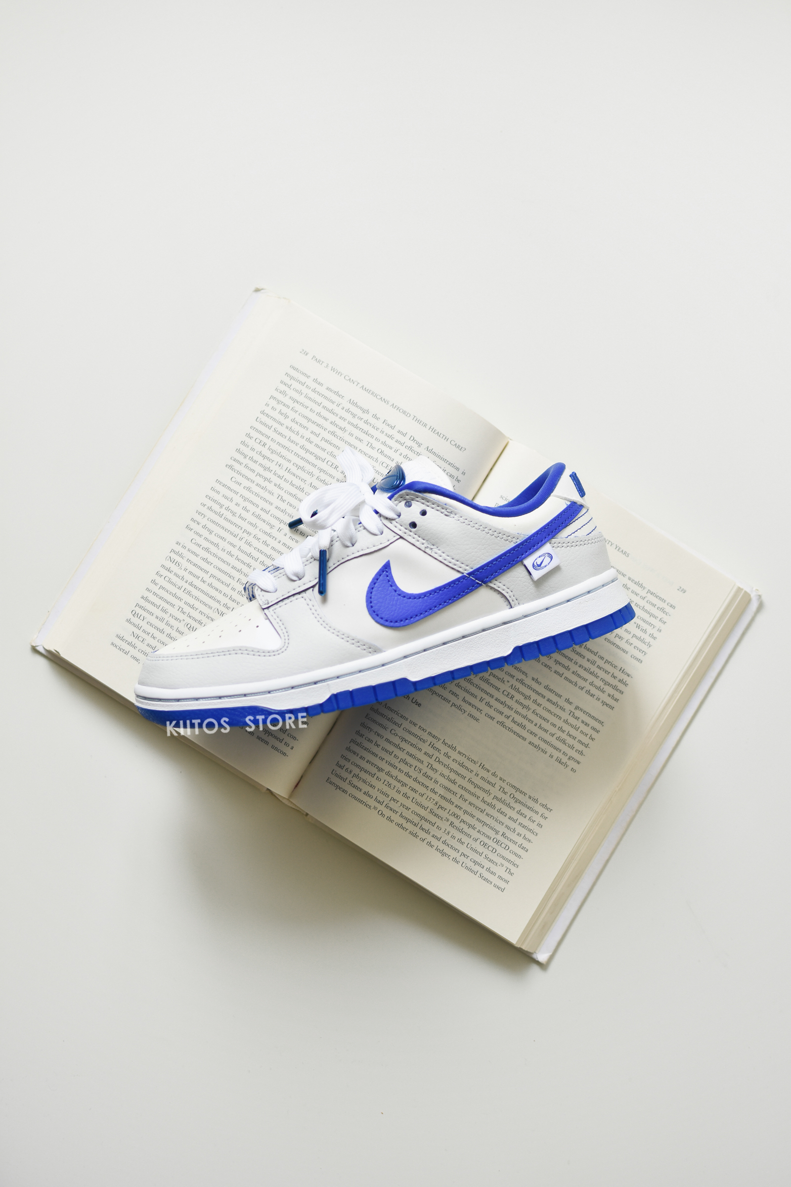 Nike Dunk Low 女鞋 白灰色 皇家藍 FB1841-110