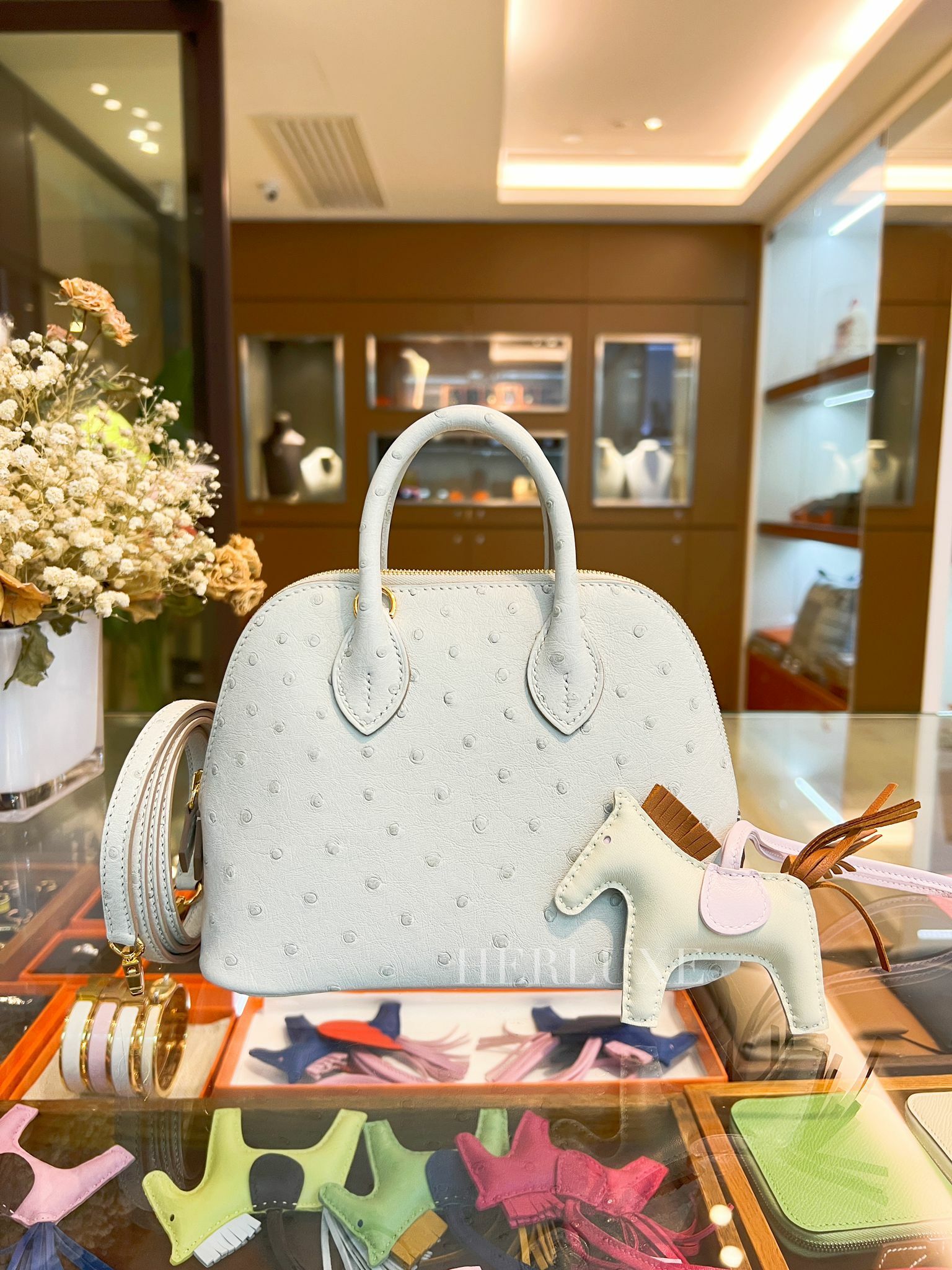 Bolide mini 80 gris perle cc ostrich