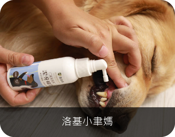 洛基小聿媽在幫自己的毛小孩使用黃金盾潔牙噴劑
