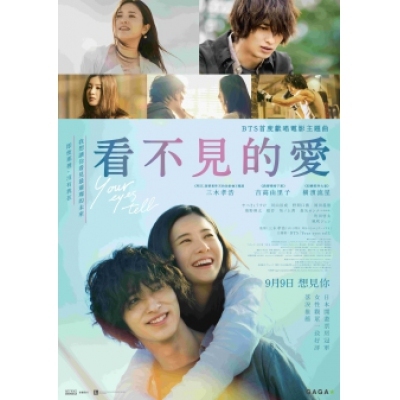 看不見的愛 (DVD)