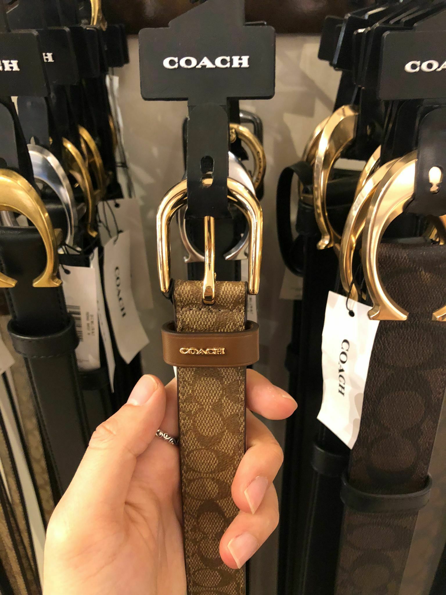 [S] COACH CLASSIC BELT IN CANVAS,GOLD/KHAKI SADDLE, 193971120706 (SCO121)