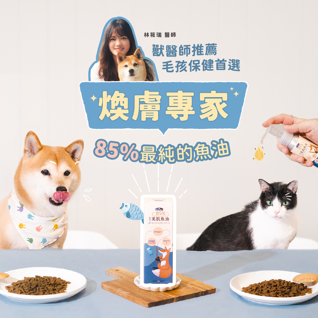 【現貨8折】Blue Bay 倍力® 85%美肌魚油 50ml (貓狗適用)
