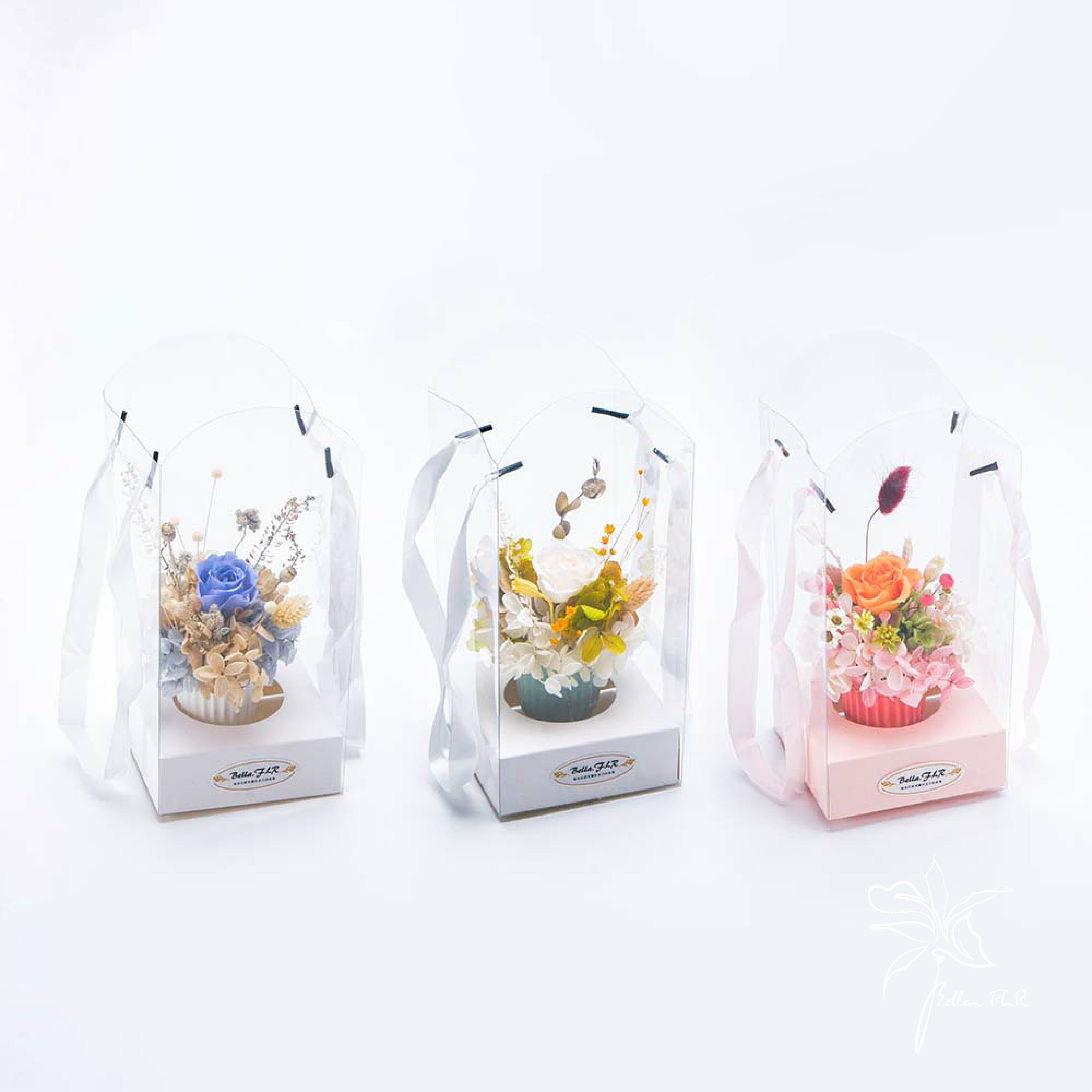 【溫柔歲月】永生乾燥盆花提盒
