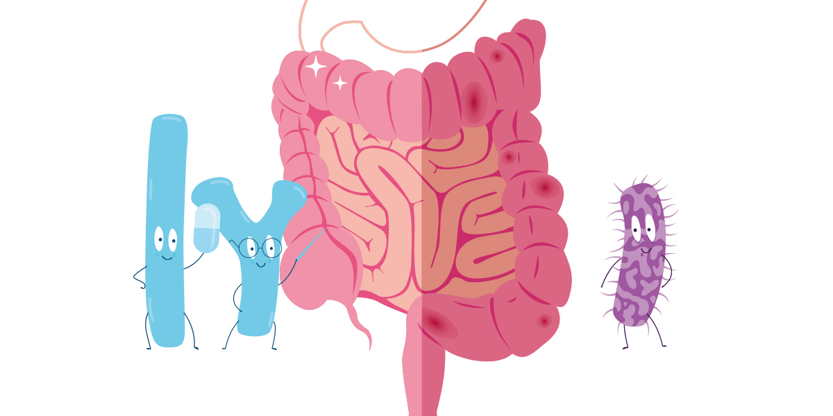 腸道健康一把罩！好菌必搭益生質，飲食管理助消化。